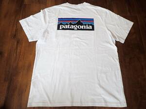 【patagonia パタゴニア】SIZE(L)胸ポケット付きTシャツ☆メンズL☆ハワイ購入品