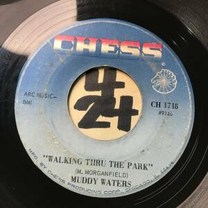 試聴 MUDDY WATERS WALKING THRU THE PARK 両面G 傷多数 