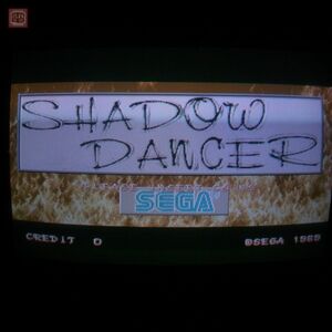 1円〜 セガ/SEGA シャドーダンサー SHADOW DANCER 動作確認済【20