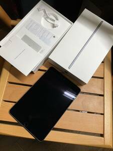 中古美品 iPad mini 5 Cellular スペースグレイ 64GB Apple 正規品