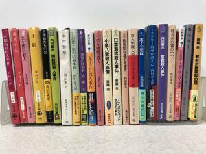 【I-1】　　小説 現代ミステリー まとめて 大量 斎藤栄 平岩弓枝 内田康夫 ほか その9