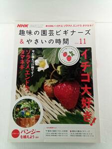 NHK　趣味の園芸ビギナーズ＆やさいの時間　2009年11月号　