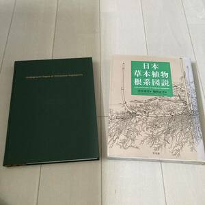 L 1995年初版発行 「日本草本植物根系図説」