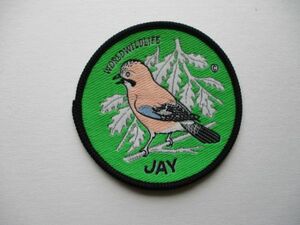 70s WORLD WILDLIFEカケス『JAY』Collector Badgesワッペン/BIRD鳥バードウォッチング野鳥 OUTDOOR自然アウトドアPATCHアップリケ V193