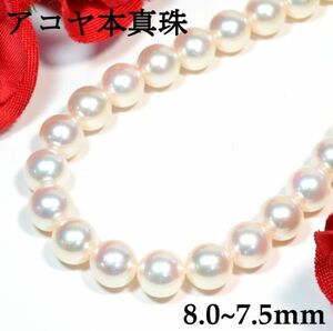 【早い者勝ち卸特価】【新品即決】 アコヤ本真珠ネックレス 8.0~7.5mm 約42cm 冠婚葬祭に フォーマル パール 6月誕生石 あこや PNM011