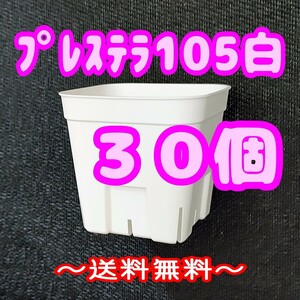 ◆送料無料◆【スリット鉢】プレステラ105白30個 多肉植物 プラ鉢 3.5号鉢 相当