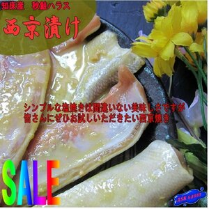 知床産「秋鮭ハラス西京漬け400g」マイルドな味噌と、とろける脂が絶品!!