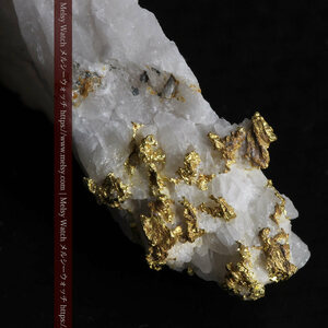 7.99gの大きな牙のような形の石英に見える粒状の自然金《商品番号G0432》