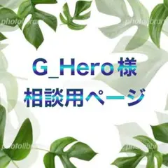 G_Hero様相談用ページ