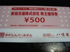 新潟交通株主優待券 500円×10枚 セット 令和6年6月30日迄