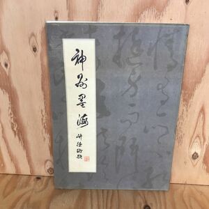 ２F-719　レア◎◎　［神州墨海］中国　書道　入手困難