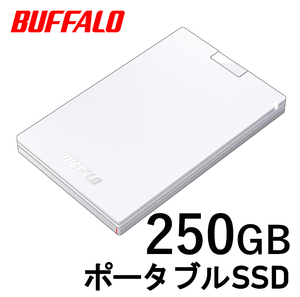 ■送料無料■美品■　BUFFALO　外付け ポータブル SSD　250GB　■Win/Mac/PS5/PS4対応　USB3.2(Gen1) コンパクト＆軽量/耐振動/耐衝撃/高速