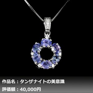 【1円新品】イケゾエガレ｜1.00ct 天然タンザナイト ダイヤモンド K14WGネックレス｜作家モノ｜本物保証｜NGL鑑別対応