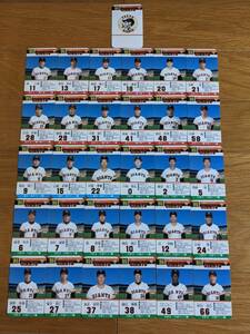 タカラ プロ野球カードゲーム 89年度 読売ジャイアンツ 巨人 カードのみ31枚