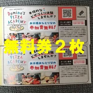ドミノピザ ピザアカデミー 無料券 2枚含む 福袋　送料無料・匿名配送