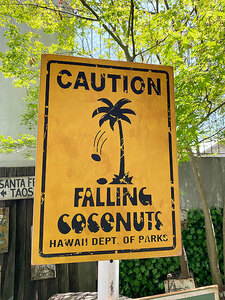 ハワイの道路標識　ウッドサイン（ココナッツ落下注意） ■ アメリカン雑貨 アメリカ雑貨
