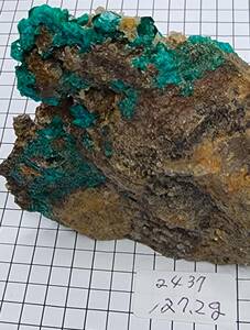 2437　アリゾナ産ダイオプテーズ結晶　母岩付き　127.2ｇ