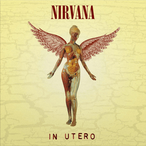 新品 LP ★ ニルヴァーナ In Utero ★ 180g 高音質 重量盤 ★ Nirvana カート・コバーン レコード アナログ Nevermind Bleach Foo Fighters