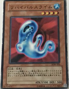 遊戯王 ジャンク ノーマル 効果モンスター 1枚 リバイバルスライム SDM