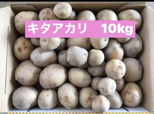 新じゃがいもキタアカリ10kg 50g前後　徳島県産　栽培中農薬不使用です