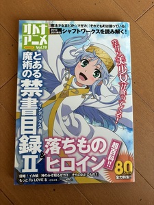 オトナアニメ Vol.19 (洋泉社ＭＯＯＫ) ムック 2011/1/8