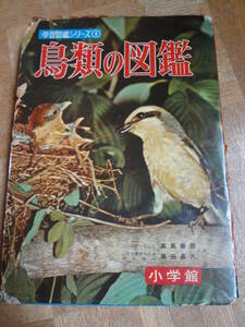 鳥類の図鑑　小学館　野鳥　百科事典