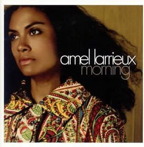 名盤 Amel Larrieux Morning アメル・ラリュー 　日本国内盤帯付き　元Groove Theoryのボーカリスト　透明感のある癒しの歌声は健在。