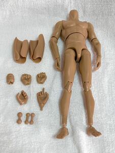 HiPlay 1/6 男性 可動フィギュア ボディドール (細マッチョタイプ）中古 