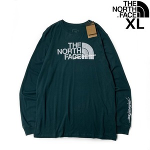 1円～!売切!【正規新品】THE NORTH FACE◆L/S GRAPHIC INJECTION TEE 長袖 Tシャツ ロンT US限定 メタリックシルバー(XL)緑 180902-5