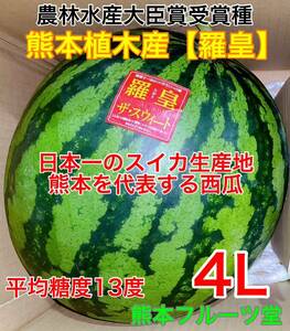 『今期初出品』熊本産【羅皇】秀品4Lサイズ（1玉9〜10kg）熊本フルーツ堂1