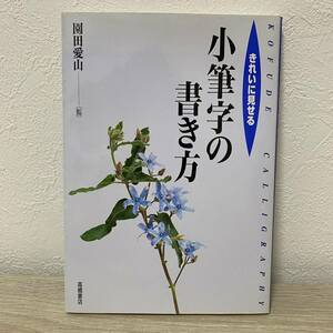 きれいに見せる 小筆字の書き方―基礎を学び美しい文字で気持ちを伝える　園田愛山