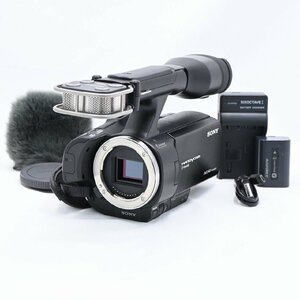 ソニー SONY NEX-VG30 レンズ交換式デジタルHDビデオカメラレコーダー