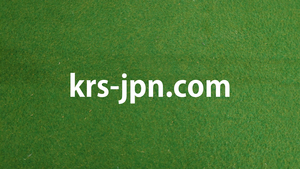 【krs-jpn.com】ドメイン譲渡