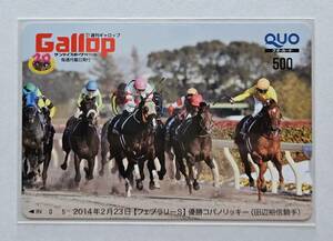 Gallop抽プレクオカード【2014年フェブラリーS】コパノリッキー