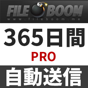【自動送信】Fileboom PRO プレミアムクーポン 365日間 安心のサポート付【即時対応】