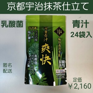 国産青汁24袋　京都宇治抹茶仕立て　乳酸菌　ラクトフェリン　オリゴ糖　食物繊維
