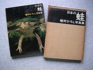 ∞　日本の蛙　種村ひろし写真集　誠文堂新光社　昭和42年 初版