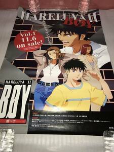 非売品・販促用ポスター 「HARELUYA Ⅱ BOY-ボーイ」 未使用品・画鋲穴ナシ・長期保存品