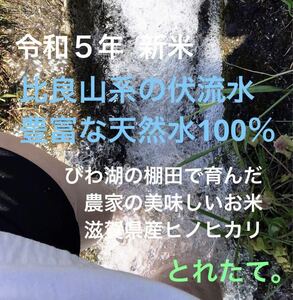 びわ湖の棚田／令和5年 新米10kg 比良山系 天然水100% 送料無料 豊富な伏流水が育んだ安心安全 農家が自家消費のために作った美味しいお米