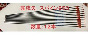 【送料無料（離島含む）　未使用】アーチェリー　完成矢　スパイン850　12本　83.5ｃｍ