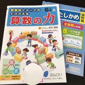 ナ52 算数の力 6年生 文溪堂 学習 問題集 ドリル 小学 テキスト テスト 文章問題 家庭学習 国語 理科 算数 社会 英語 勉強 計算 漢字