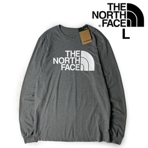 1円～!売切!【正規新品】THE NORTH FACE◆L/S HALF DOME TEE 長袖 Tシャツ ロンT US限定 ハーフドームロゴ 男女兼用(L)グレー 180902-18