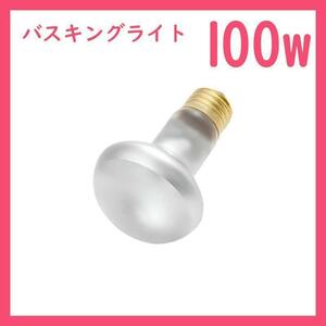 100W★バスキングライト1個(爬虫類ライト)タイトビームB0061