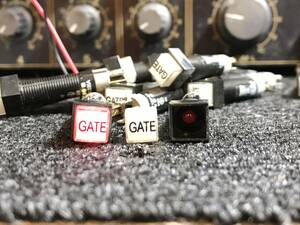 即決 送料無料 『GATE』 EAO 角型 照光 モーメンタリースイッチ