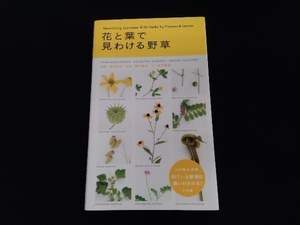 花と葉で見わける野草 有沢重雄