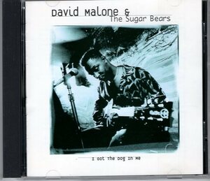 DAVID MALONE THE SUGAR BEARS I GOT THE DOG IN ME