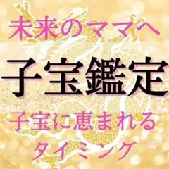 現役霊能者による子宝鑑定/自然妊娠/不妊治療/妊活/霊視占い【初回限定価格】