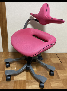 iPole7 Wooridul Chair ウリドルチェア OAチェア オフィスチェア メッシュ 学習椅子 イス 高機能サポート 姿勢矯正