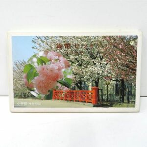 未使用 桜の通り抜け記念 昭和63年 貨幣セット 1988年