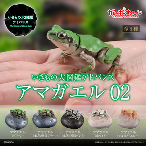 新品未開封 全５種セット いきもの大図鑑アドバンス アマガエル０２ ガシャポンオンライン版 ガチャガチャ BANDAI NAMCO 蛙 かえる 02